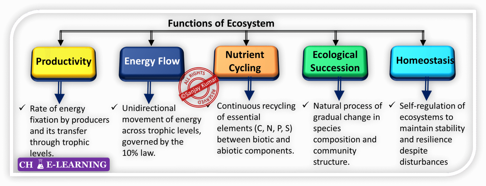 Topic 1.5: Functions of Ecosystem - Insight into Chemical Engineering